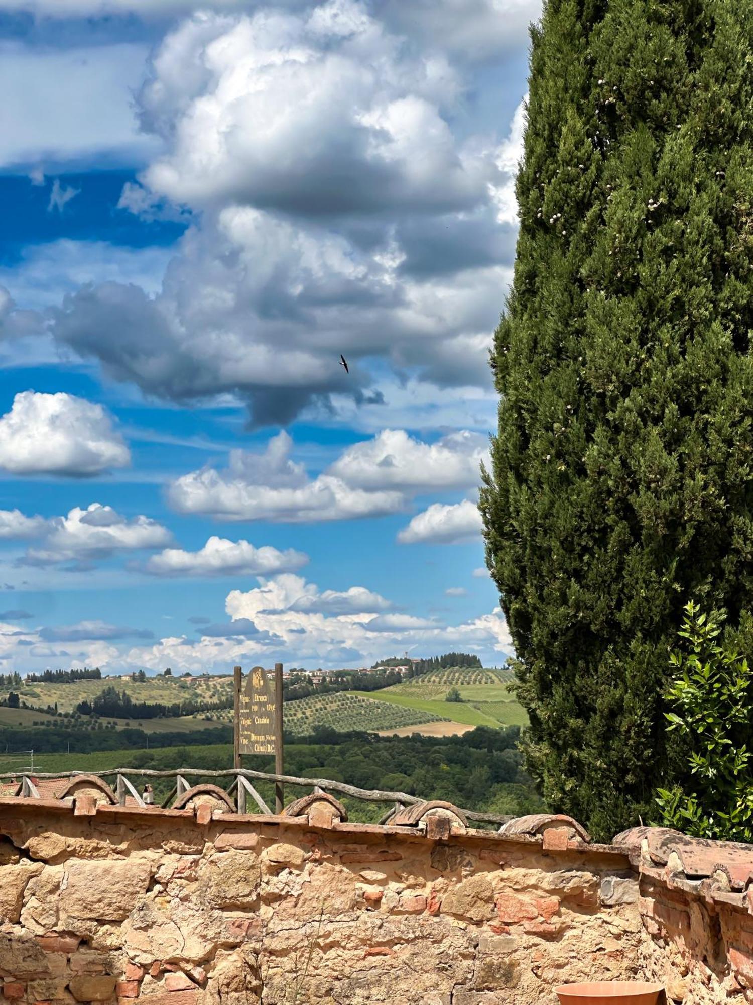 Agriturismo Fattoria Sant'Appiano Barberino di Val dʼElsa Екстериор снимка